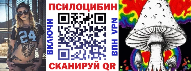 Галлюциногенные грибы Cubensis  Георгиевск 
